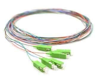 Ausgang 0,9 mm LSZH Glasfaser Pigtails 12Cords 1,5 2,0 3,0 Einsetzverlust ≤ 0,3 dB 3